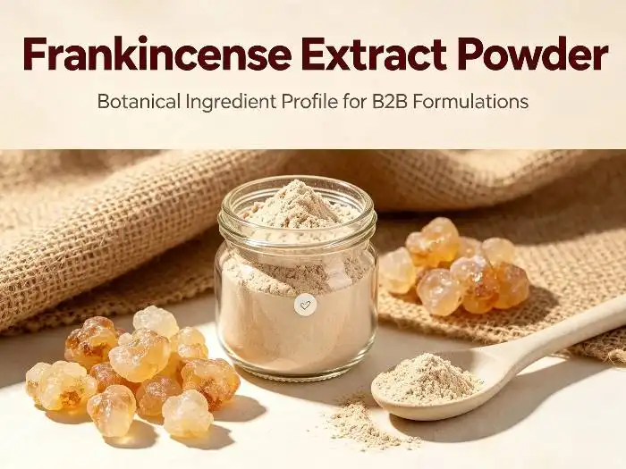 How Bulk Boswellia Serrata Extract Supports Global Botanical Supply Chains